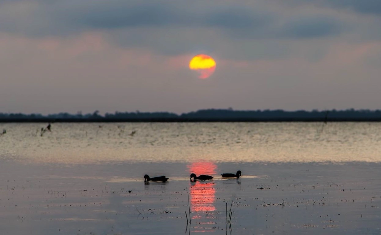 Fotoğraf tutkunu savcı, 350'ye yakın kuş türünü fotoğrafladı