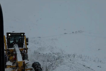 Artvin'de çığ faciası! 3 çoban aranıyor