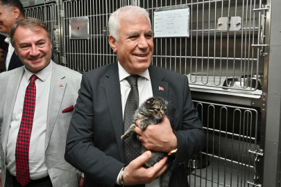 Bursa Büyükşehir’den sokak hayvanlarına sevgi ve bakım