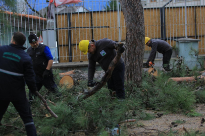 Osmangazi’de lodos alarmı: Belediyeden anında müdahale