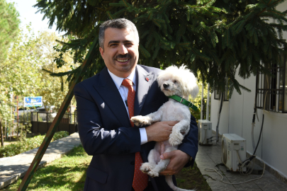 Yıldırım’da sokak hayvanları yalnız değil