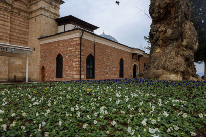 Bursa’nın tarihi noktaları kışın da çiçek açıyor