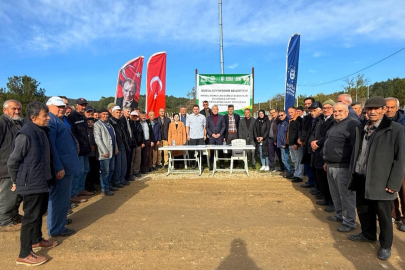 Bursa’da 17 ilçede 400 üreticiye yüzde 100 hibeli kaba yem