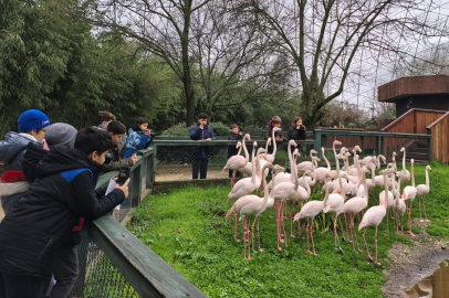 Bursa'da bilim fotoğrafçılığı etkinliğiyle çocuklar doğayı keşfetti
