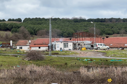 Çiftlik evinde dehşet: Elektrikli testereyle saldırdı