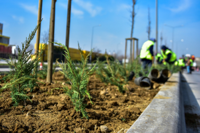 Bursa’da şehir estetiği güçleniyor: Bulvar ve kavşaklarda büyük peyzaj hamlesi
