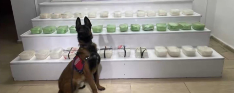 Uyuşturucu tacirlerine büyük darbe! 320 kilogram zehir ele geçirildi