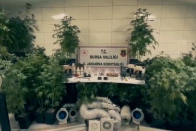 Bursa jandarmasından uyuşturucu tacirlerine darbe
