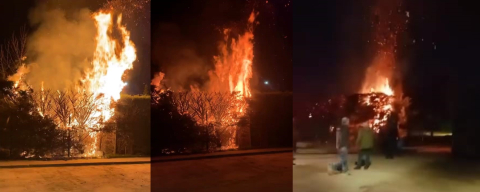 Bursa'da sebepsiz yere ateşe verilen ağaç itfaiyeyi harekete geçirdi