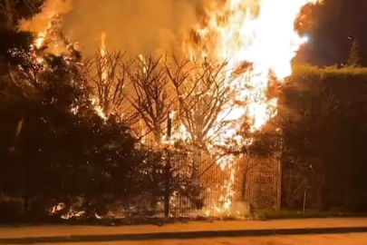 Bursa'da sebepsiz yere ateşe verilen ağaç itfaiyeyi harekete geçirdi