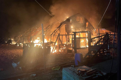 Bursa'da çiftlik yangını: Yüzlerce hayvan telef oldu