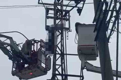 Hırsızlık için çıktığı elektrik direğinde canından oldu