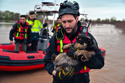 Büyükşehir'den selde zamanla yarış: “Cesur” ve “Zeytin” kurtarıldı