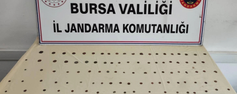 Bursa’da tarihi eser operasyonu: 137 adet sikke ele geçirildi
