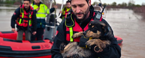 Büyükşehir'den selde zamanla yarış: “Cesur” ve “Zeytin” kurtarıldı