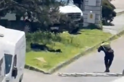 Teröristlerin kimlikleri belli oldu