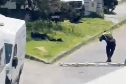 Beşiktaş'taki çatışmada polisle dalga geçenlere yönelik soruşturma!