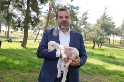 Gürsu’daki Butik Hayvanat Bahçesi yeni sakinlerine kavuştu