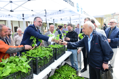 Kestel’den tarıma güçlü dokunuş: Ahududu üretimi artıyor