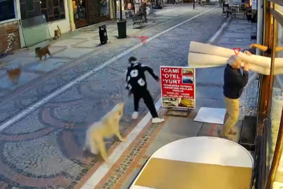 Başıboş köpek saldırısı: 19 yaşındaki genç yaralandı