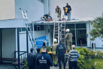 Sitede 4 el silah sesi duyuldu, kadın kendini 6. kattan aşağı attı