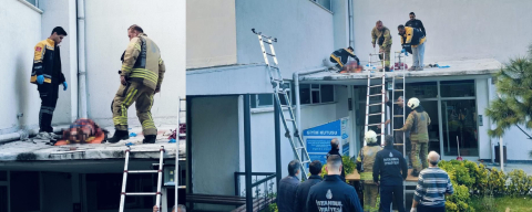 Sitede 4 el silah sesi duyuldu, kadın kendini 6. kattan aşağı attı