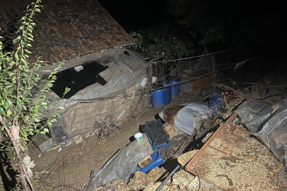 Kan donduran torun vahşetine rekor ceza