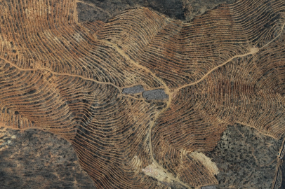 Bursa'da tarihin en büyük orman yangınında yaralar sarıldı