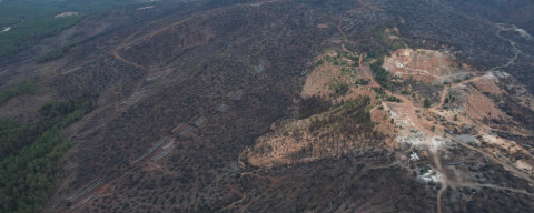 Bursa'da tarihin en büyük orman yangınında yaralar sarıldı