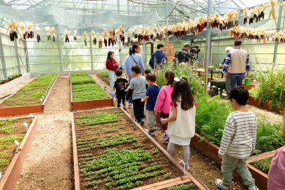 Osmangazi’de minik öğrenciler serada üretimle tanıştı