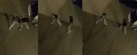 Sokak ortasında boks ringlerini aratmayan kavga