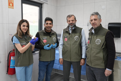 Gürsu Belediyesi Hayvan Bakım Merkezi’nde anne kedi 5 yavruya kucak açtı