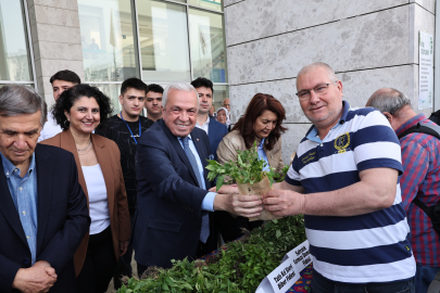 Nilüfer’de yerel üretime 120 bin fideli destek