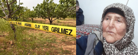 Tarlada uyuyan yaşlı kadın iş makinesinin altında kalarak can verdi