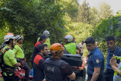 Uludağ'a ıhlamur toplamaya gitti, uçurumdan düşerek can verdi