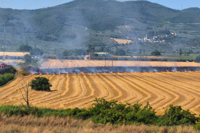 Gemlik Serbest Bölge yakınında otluk yangını