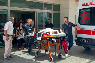 Köpek dehşeti: 3 yaşındaki çocuk ağır yaralandı