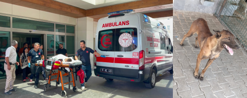Köpek dehşeti: 3 yaşındaki çocuk ağır yaralandı