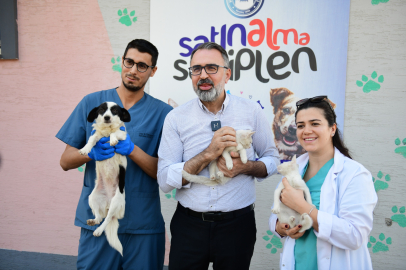 Kestel Belediyesi’nden can dostları için dijital sahiplendirme platformu