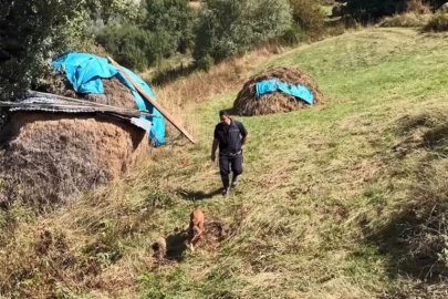 30 yıllık sır çözüldü! Karısını öldürdü, 20 yıl mağarada saklandı