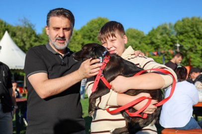 Can dostlar için Bursa’da 3. Yuvalandırma Şenliği
